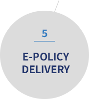 5 - e-policy delivery